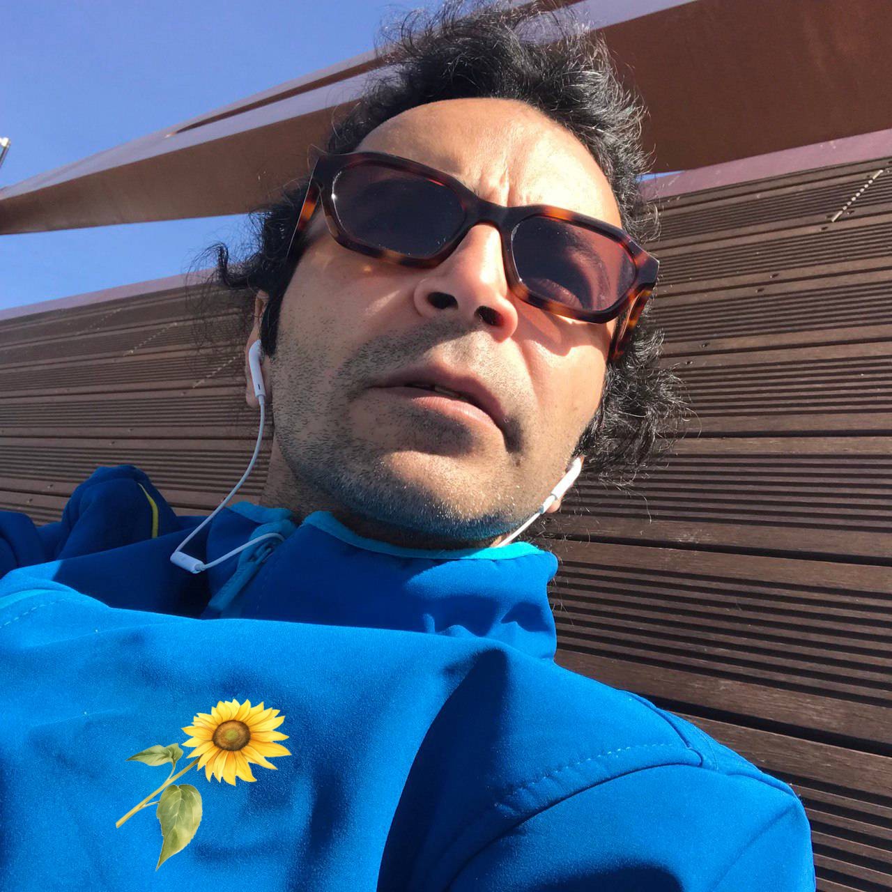 Hamed